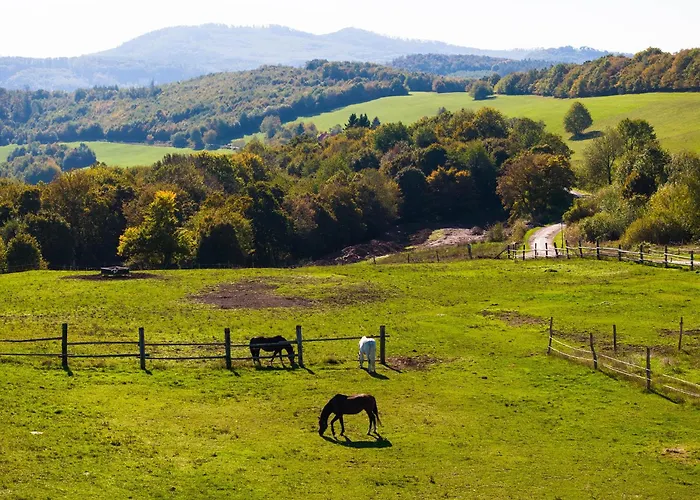 Vendégház Na Bezovci Újszabadi